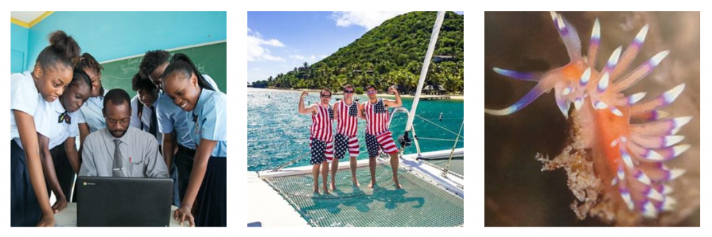 bitter_end_yacht_club top 10 sailing instagram accounts